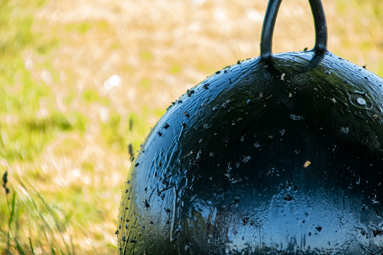 Sticky Trap glue-val compleet heavy