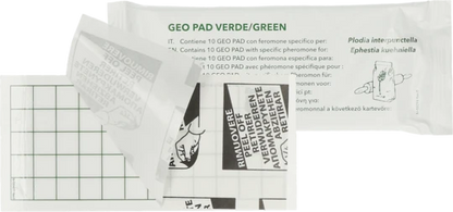 Geo Lijmplaat Levensmiddelenmot (Ephestia/Plodia)